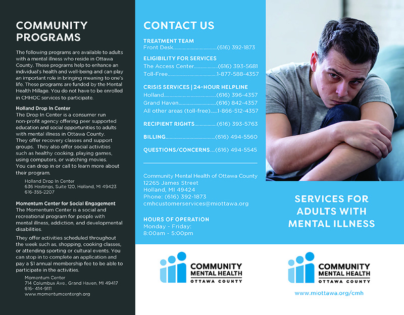 MI
                    Services Brochure