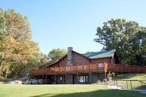 Woodland Cabin 4