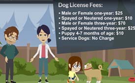 Dog License Video