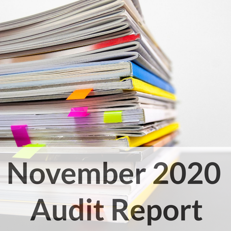November 2020 Audit Report