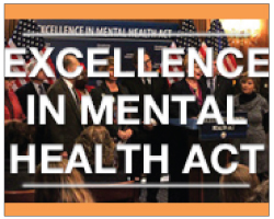 Excellence in Mental Health