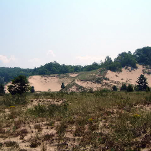 Great Lakes Dunes